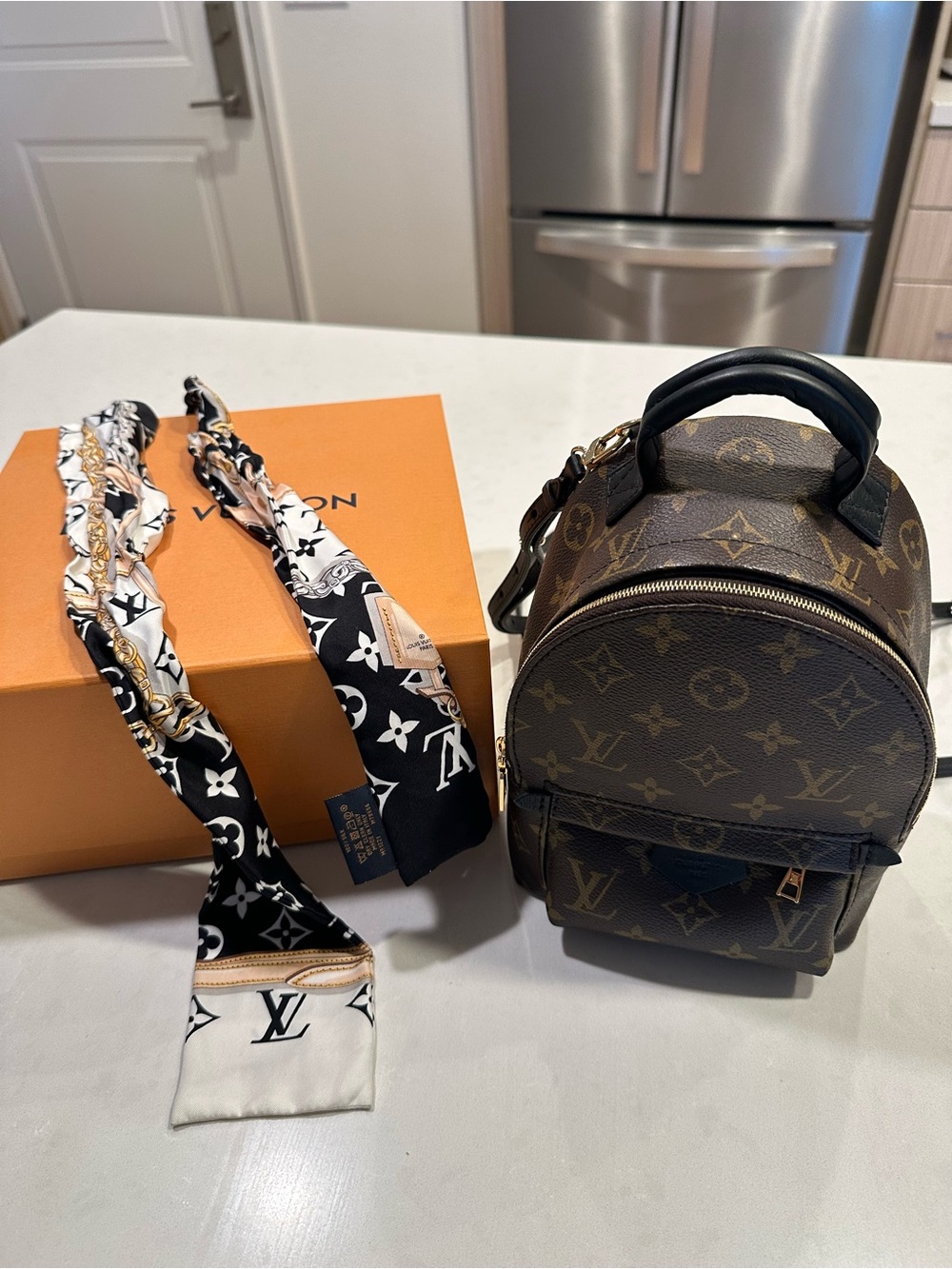 Louis Vuitton Monogram Palm Springs Mini Backpack with Black Scarf - Picture 5 of 6